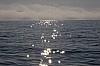 bild 03 - (c) reinhard pattke.jpg
